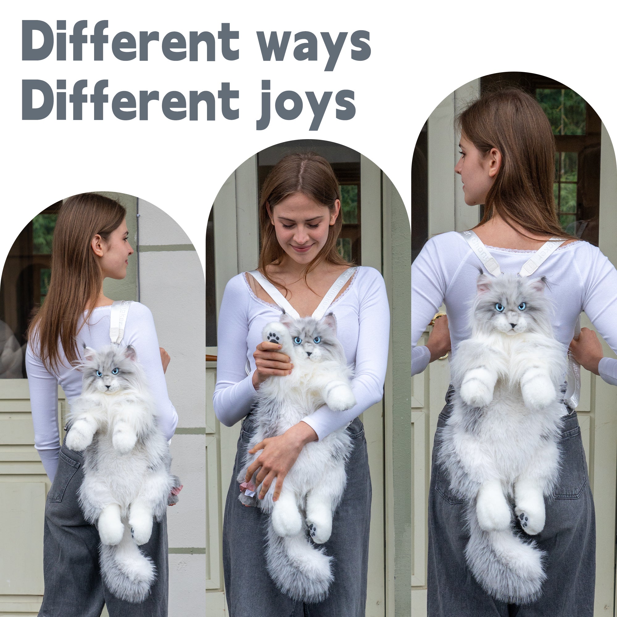 Maine Coon Cat Backpack